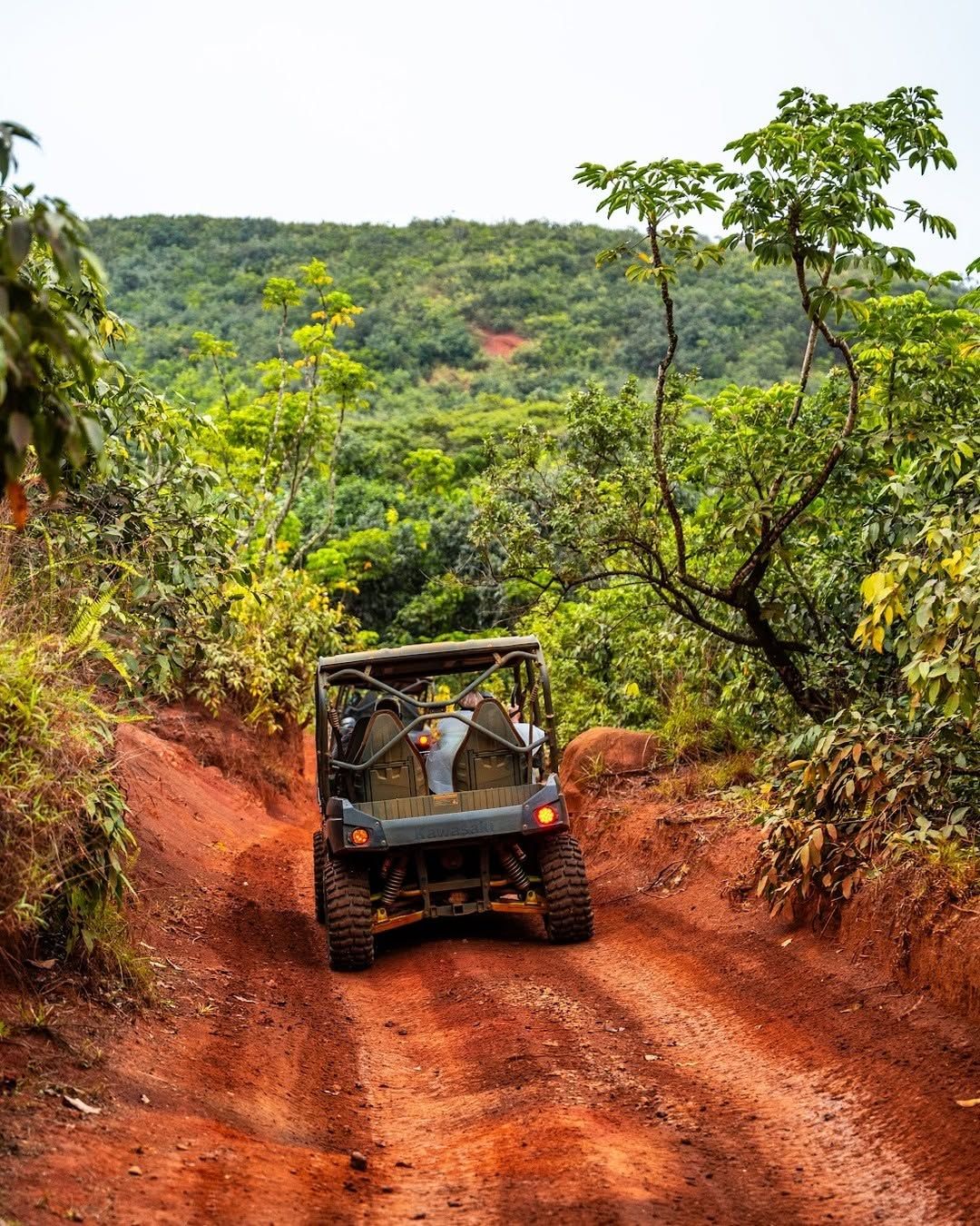 An off-road UTV navigates a red dirt trail through dense tropical jungle during a Kipu Ranch Adventures guided off-road tour in Kauai, Hawaii. 