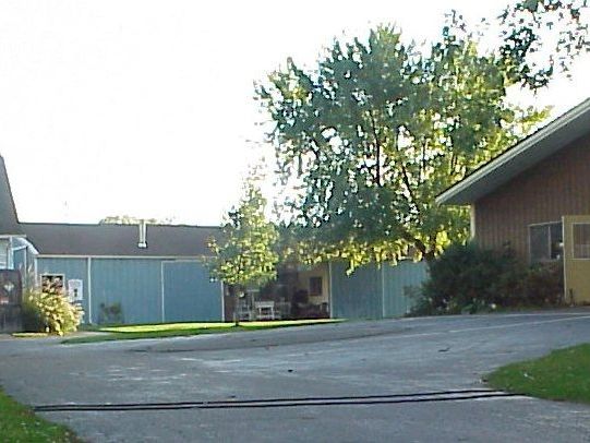 A rustic cluster of antique shop buildings sits along a paved driveway framed by lush green trees, including a white stone barn with an "Antiques" sign and a wood-sided shop with a matching sign. Late-day sunlight filters through the leafy surroundings on a quiet, inviting day.