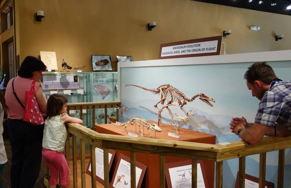 A family gathers around a dinosaur skeleton display at the Bob Campbell Geology Museum, where a mounted theropod fossil stands as the centerpiece of the Archosaur Evolution exhibit on dinosaurs, birds, and the origin of flight. A young girl and two adults lean in for a closer look, with fossil display cases and South Carolina geology specimens visible in the background.