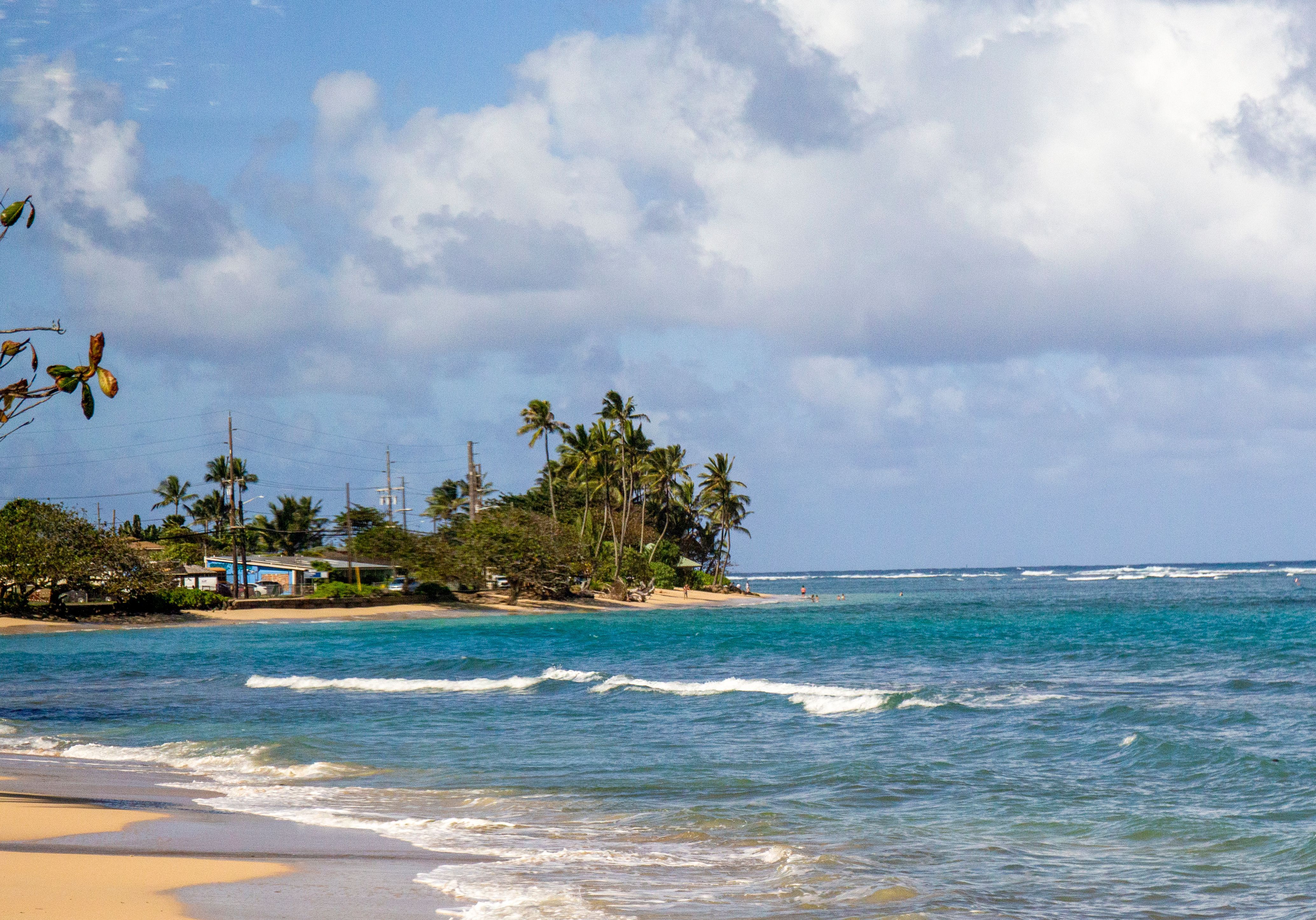 Gentle turquoise waves roll onto the golden sand shore of Kauapea Beach on Kauai's North Shore, with a palm-lined rocky point and beachside buildings visible in the distance. 