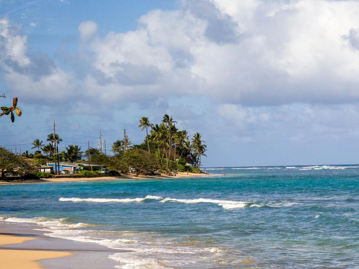 Gentle turquoise waves roll onto the golden sand shore of Kauapea Beach on Kauai's North Shore, with a palm-lined rocky point and beachside buildings visible in the distance.