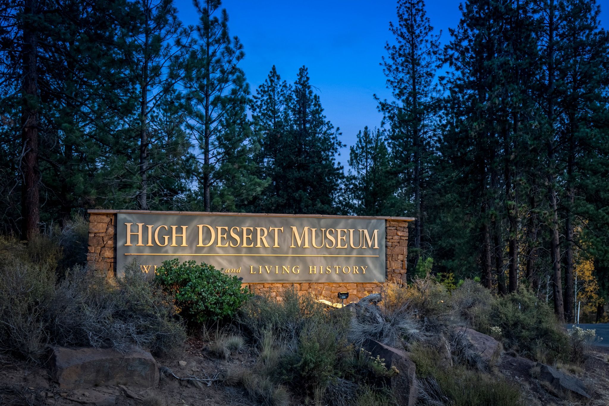 The illuminated entrance sign of the High Desert Museum glows warmly at dusk, surrounded by pine trees and desert brush. It sets the scene for an evening of art, wildlife, and living history during the museum’s Winter Nights event.