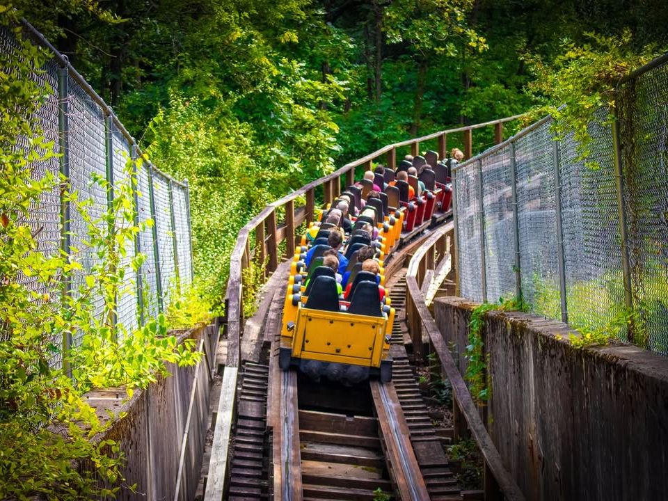 Wooden roller coaster at Kings Island theme park carrying excited riders through lush trees. A classic thrill ride in one of America’s top amusement parks.