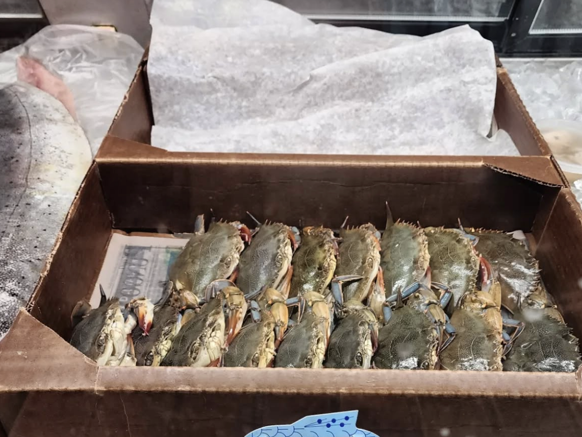A cardboard box filled with rows of fresh blue crabs is displayed on ice at a seafood market.