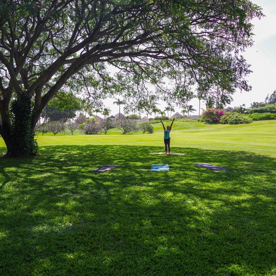 A woman practices yoga on a mat beneath a sprawling tropical tree on the lush green lawns of McBryde Allerton Garden in Kauai, Hawaii.