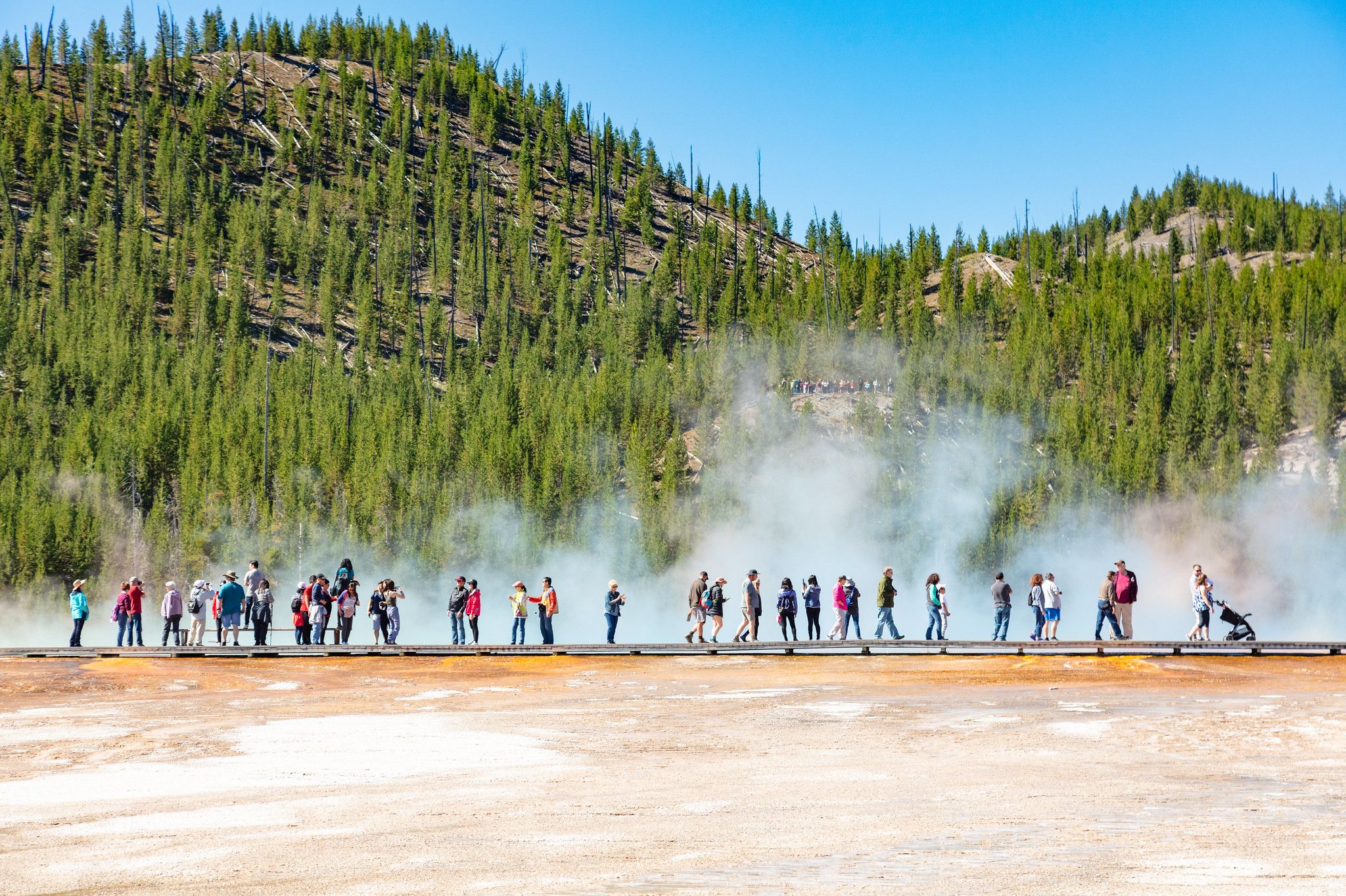 Visitors walk along a boardwalk surrounded by rising steam from geothermal features in Yellowstone National Park. The mix of colorful ground, mist, and pine forests shows why Yellowstone is one of the most unique parks in the U.S. It’s a must-see spot for first-time visitors.