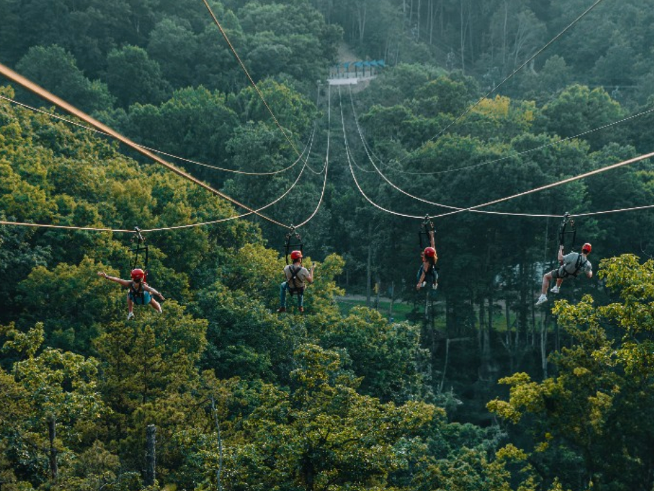 Four people ride parallel zip lines high above a lush green forest, gliding toward a platform in the distance.