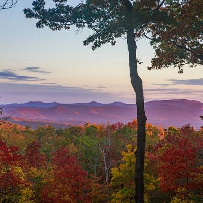 Big Canoe featured property