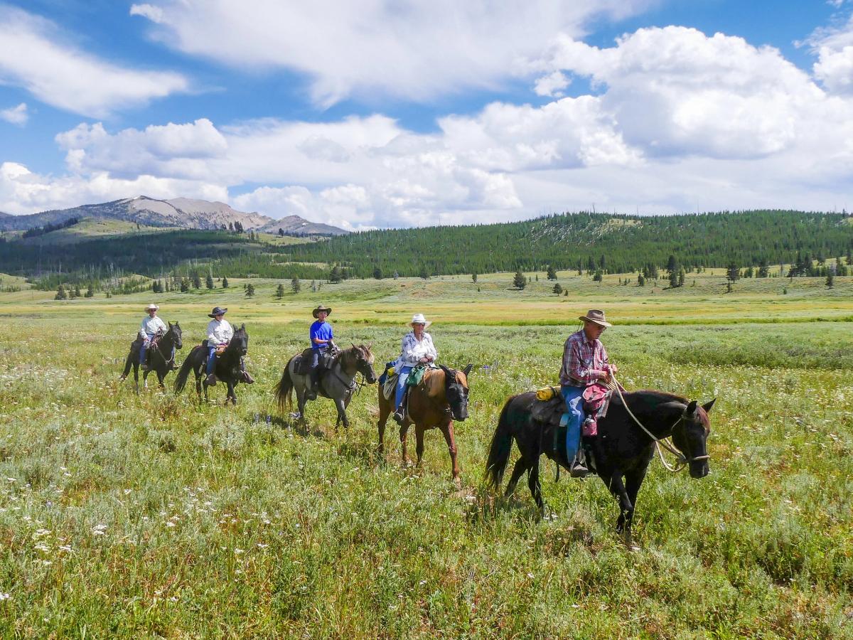 A group of riders on horseback cross an open Wyoming meadow surrounded by pine trees and mountains. Horseback riding is one of the most authentic ways to experience Yellowstone’s wilderness.