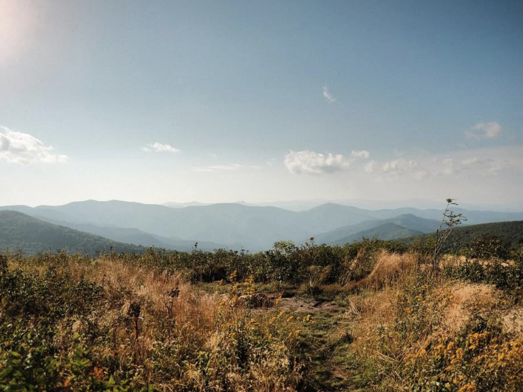 A scenic mountain overlook with golden grasses and wildflowers in the foreground, leading to rolling blue ridges stretching into the horizon. The sky is clear with a few scattered clouds, casting a warm glow over the landscape