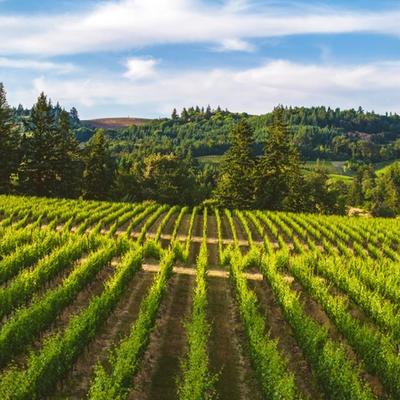 Willamette Valley featured property