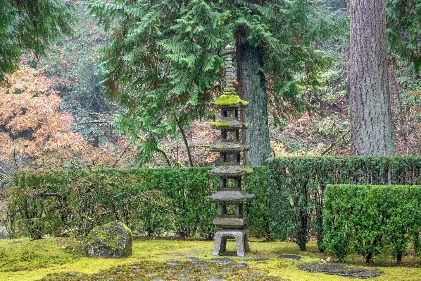 A tall stone pagoda covered in moss stands quietly among green hedges and tall trees in the Portland Japanese Garden. Soft light filters through the forest, giving the scene a calm and peaceful feeling. It shows the garden’s simple and timeless beauty.