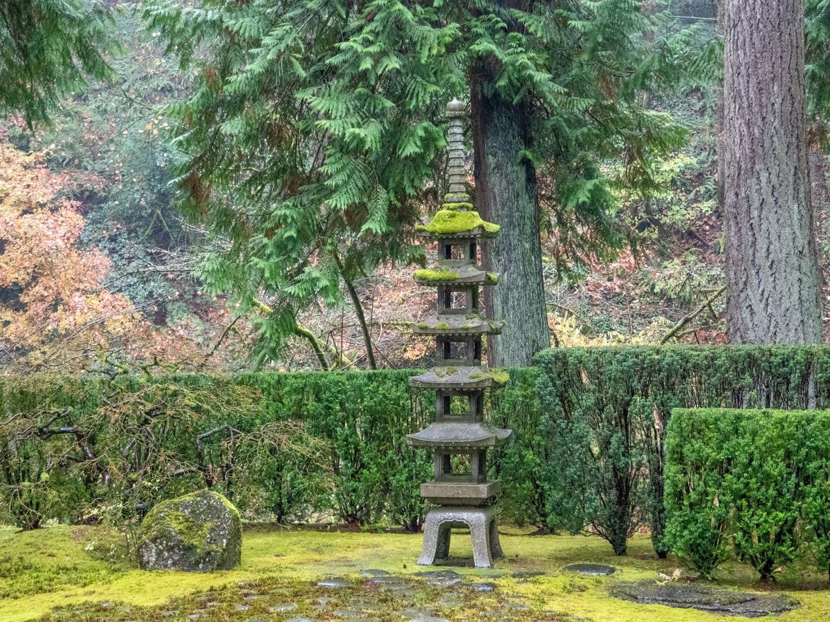 A tall stone pagoda covered in moss stands quietly among green hedges and tall trees in the Portland Japanese Garden. Soft light filters through the forest, giving the scene a calm and peaceful feeling. It shows the garden’s simple and timeless beauty.