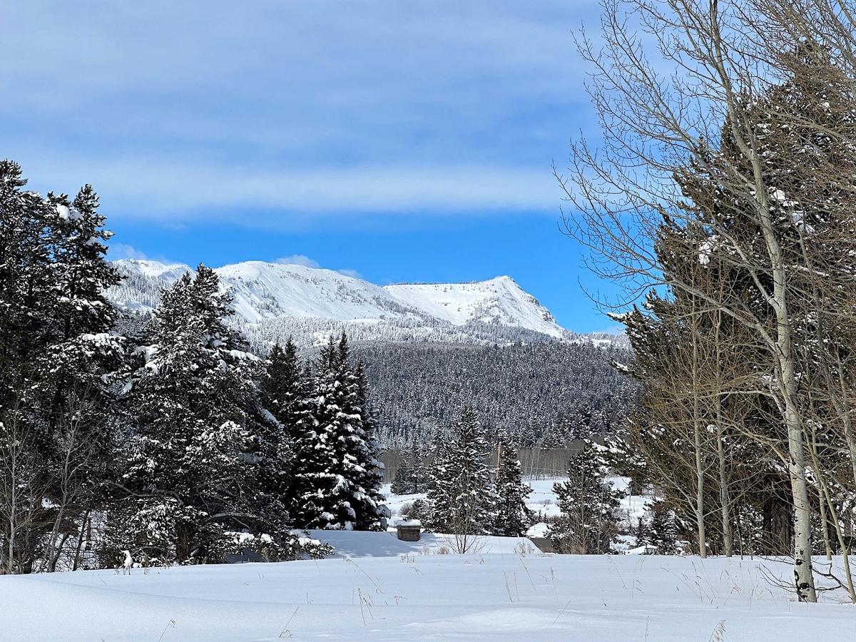 View of Snow Covered Trees and Mountains in West Yellowstone Montana