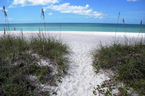 See More Anna Maria Island & Sarasota Vacation Rentals