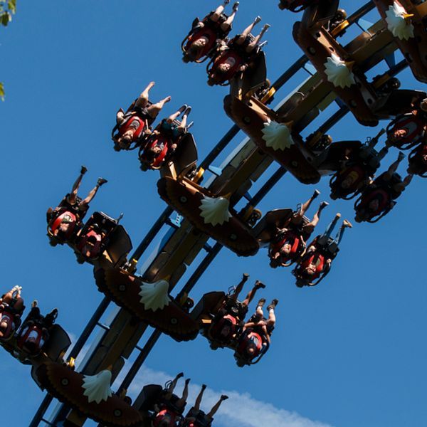 The Wild Eagle coaster soars high above Dollywood as riders hang upside down in mid-air against a bright blue sky. This winged roller coaster offers breathtaking mountain views and adrenaline-filled loops.