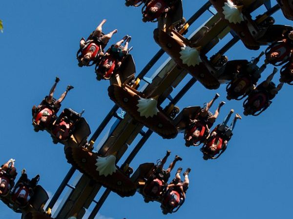 The Wild Eagle coaster soars high above Dollywood as riders hang upside down in mid-air against a bright blue sky. This winged roller coaster offers breathtaking mountain views and adrenaline-filled loops.