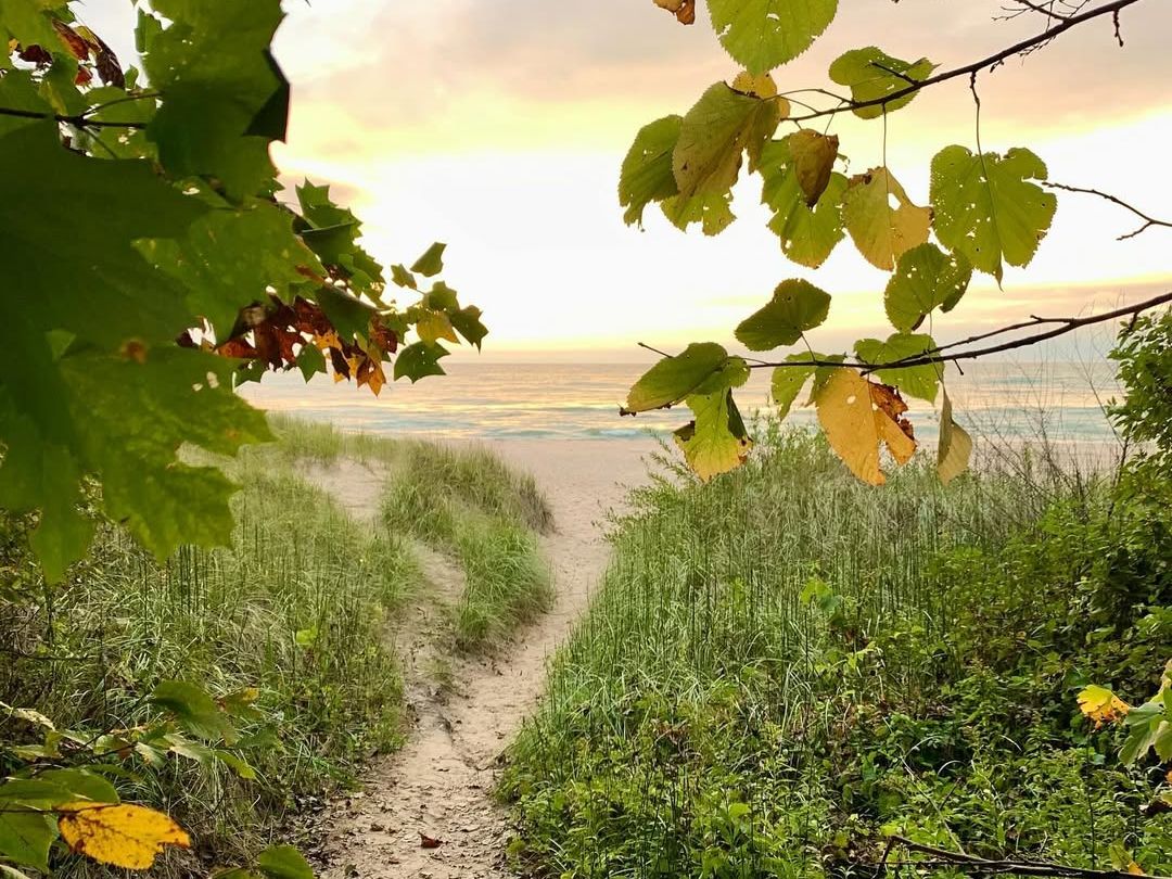 A sandy footpath winds through beach grass and leafy branches toward Lake Michigan. Soft golden light on the water invites you to follow the trail to the shore.