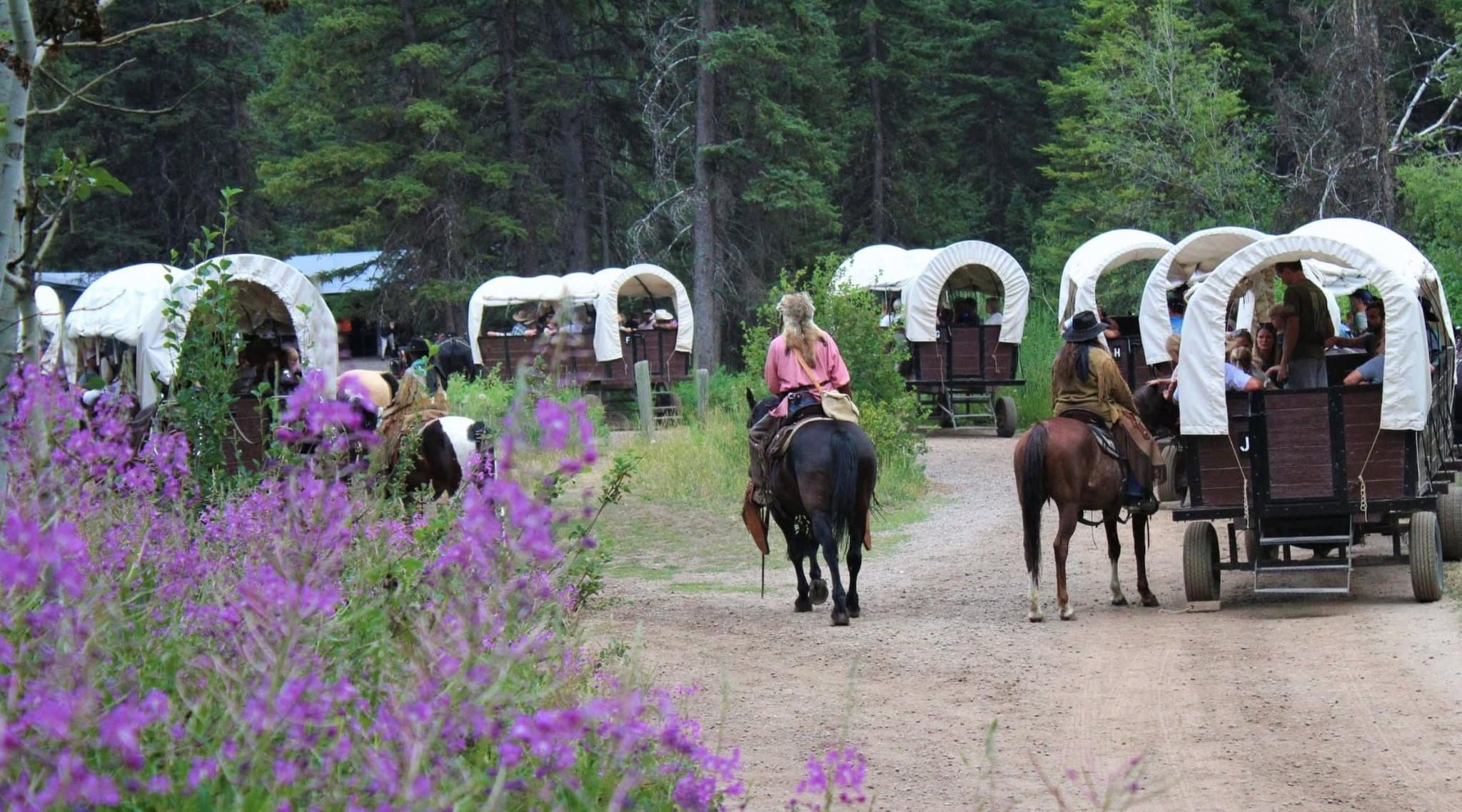  A line of white-canopied covered wagons filled with guests rolls down a gravel forest road, led by two riders in period Western attire on horseback. Bright purple wildflowers bloom in the foreground beneath tall evergreens on a lush summer day