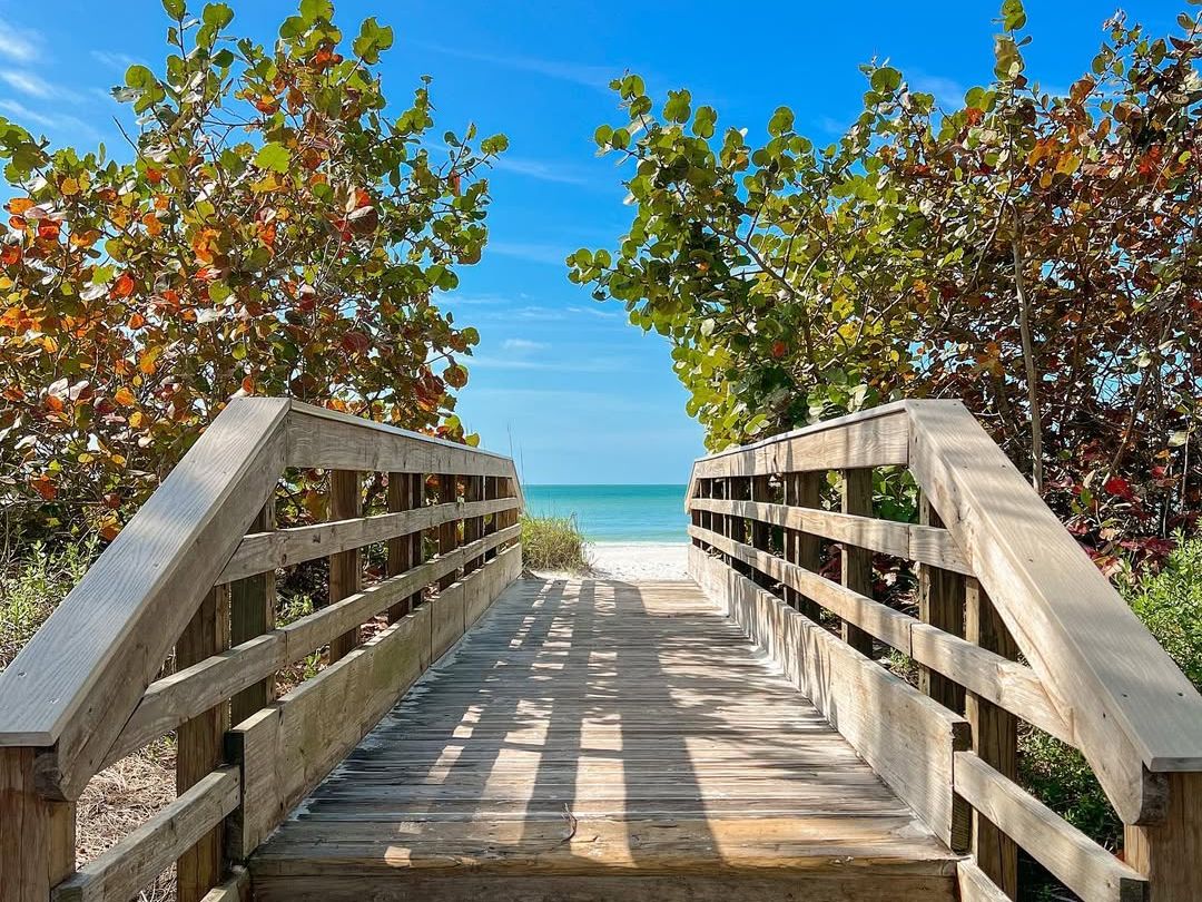 A peaceful wooden boardwalk leads through lush sea grape trees toward the white sands and turquoise waters of Anna Maria Island. The bright blue sky and tropical greenery create a perfect beach day scene.