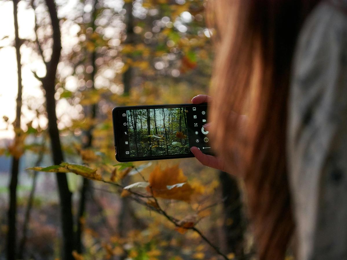 A woman with long hair takes a photo of a forest with her smartphone, capturing the autumn trees and golden leaves in the evening light.