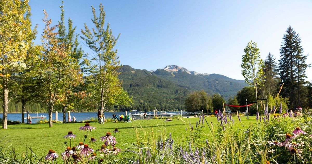Wildflowers bloom along the grassy shore of Lost Lake with mountain views in the distance. Families relax, bike, and enjoy the peaceful park just minutes from Whistler Village. Lost Lake is a favorite spot for swimming, picnics, and easy nature walks.