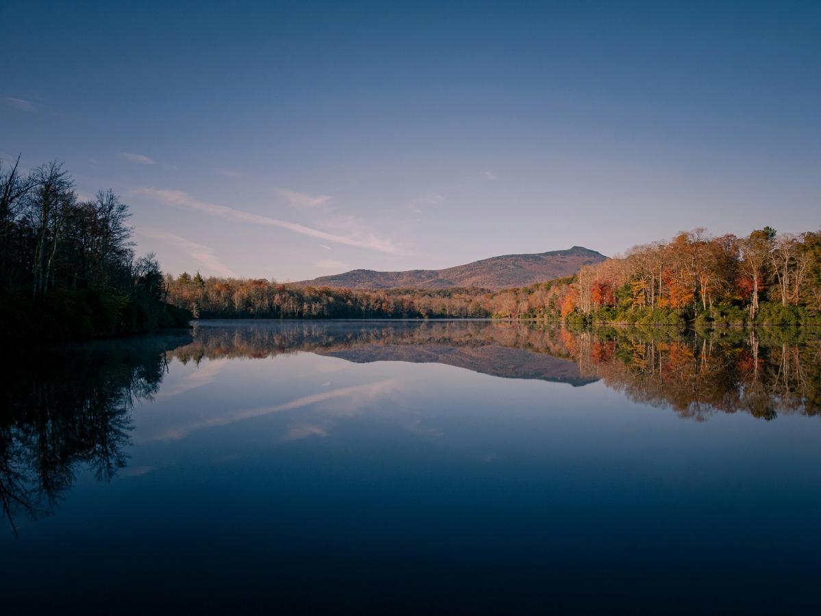 Rolling forested mountains covered in autumn foliage under a clear blue sky, with a bare tree branch stretching into the frame from the right.