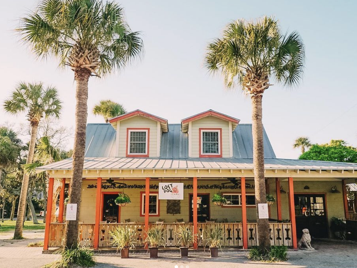 A charming beachside café called Lost Dog Café, framed by palm trees and sunshine, with a welcoming front porch and coastal vibes.
