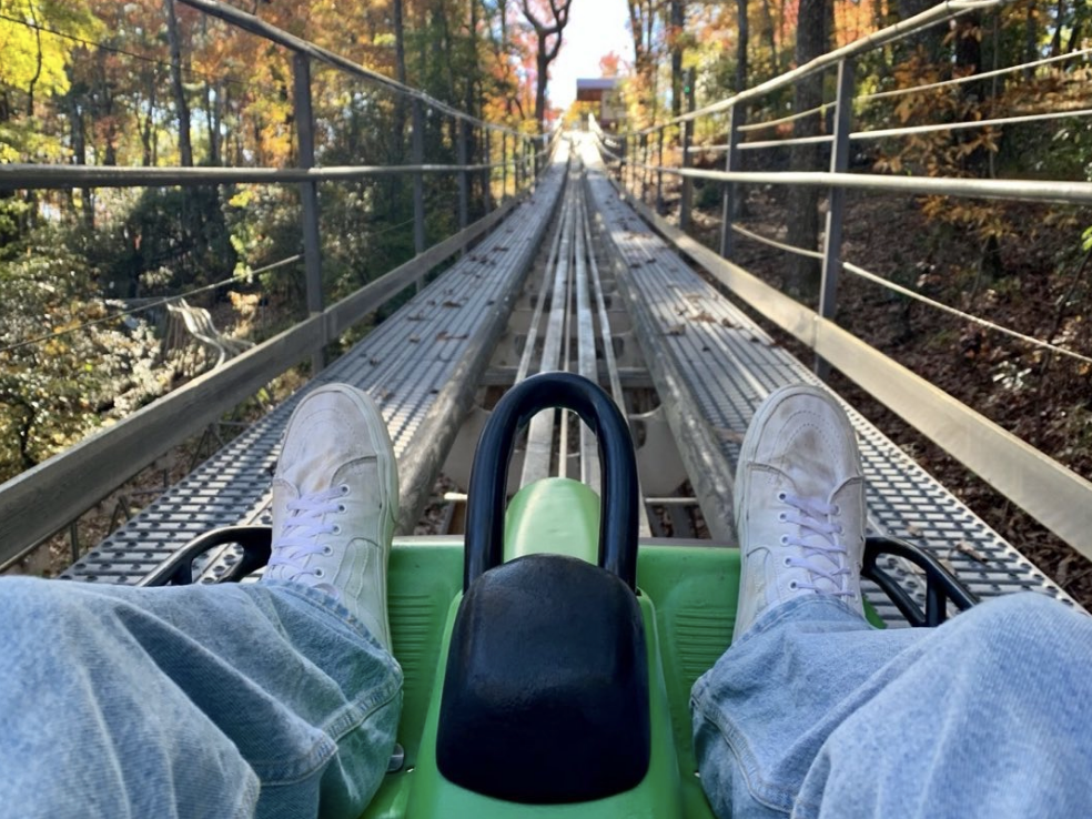 A first-person view from a green alpine coaster car ascending a metal track through colorful autumn trees, with a “Buckle Up” warning label visible.