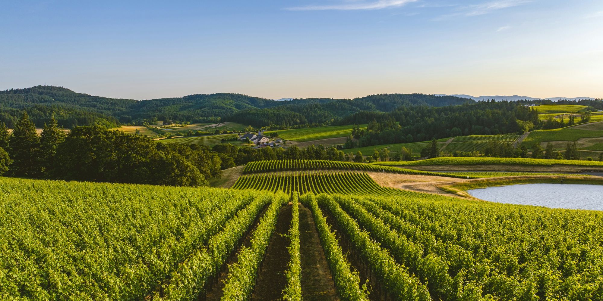 Willamette Valley