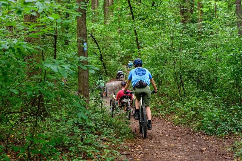 A group of cyclists including a recumbent bike rider navigate a lush forested section of the Capital Crescent Trail in Montgomery County, Maryland, winding through a canopy of green summer trees