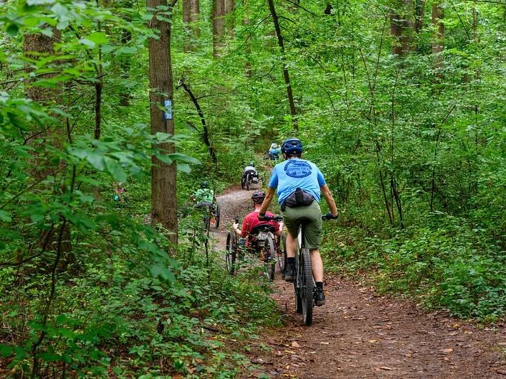 A group of cyclists including a recumbent bike rider navigate a lush forested section of the Capital Crescent Trail in Montgomery County, Maryland, winding through a canopy of green summer trees