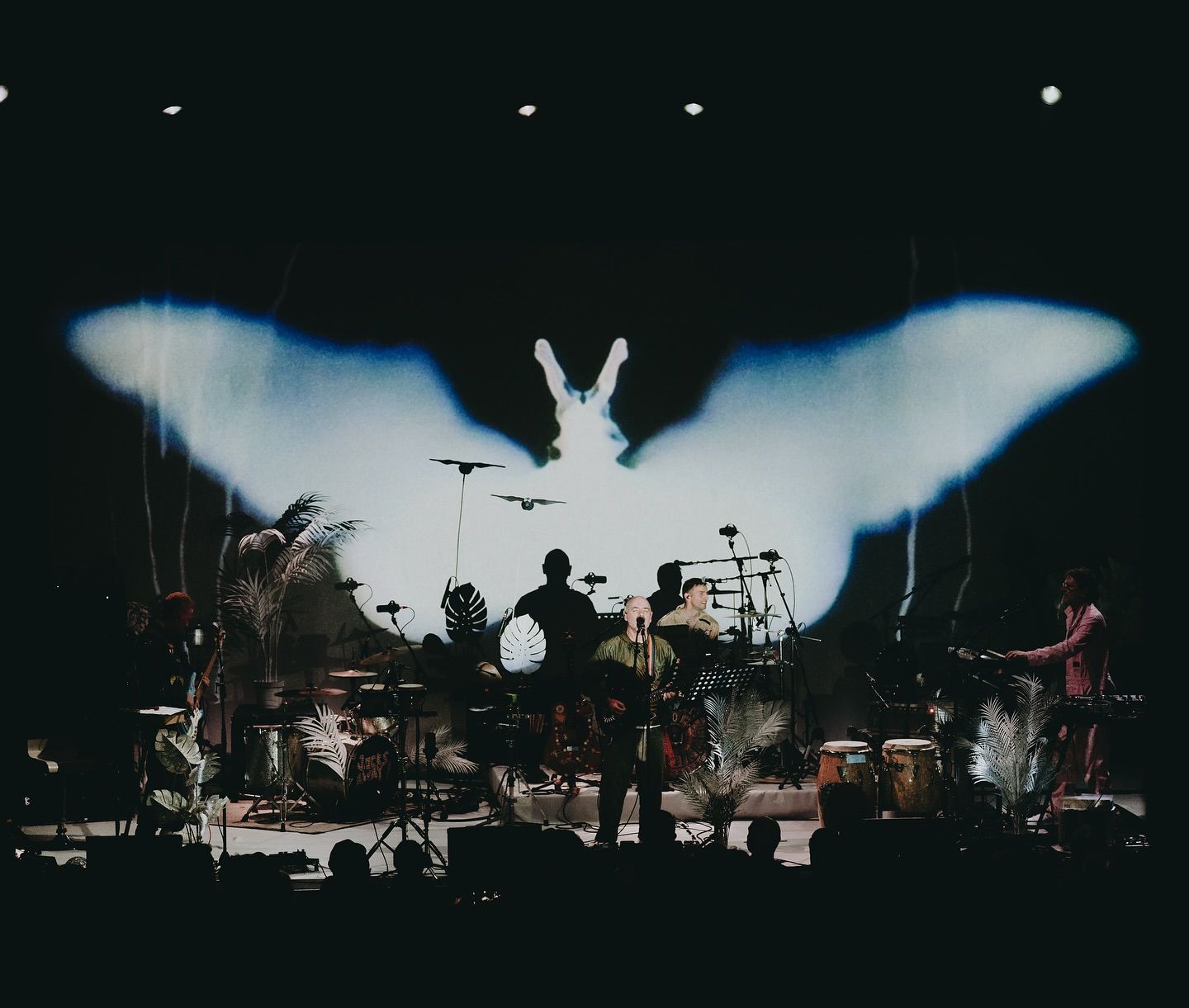 A live band performs on stage with dramatic lighting and a huge butterfly-like image projected behind them. The musicians are surrounded by tropical plants and instruments, giving the show a dreamy, artistic vibe. The mix of visuals and music creates an immersive concert experience inside the Roundhouse.