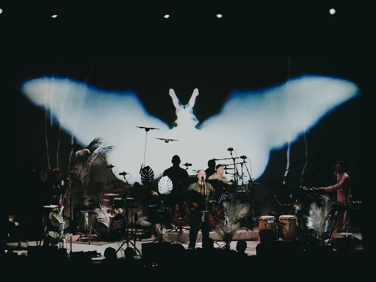 A live band performs on stage with dramatic lighting and a huge butterfly-like image projected behind them. The musicians are surrounded by tropical plants and instruments, giving the show a dreamy, artistic vibe. The mix of visuals and music creates an immersive concert experience inside the Roundhouse.
