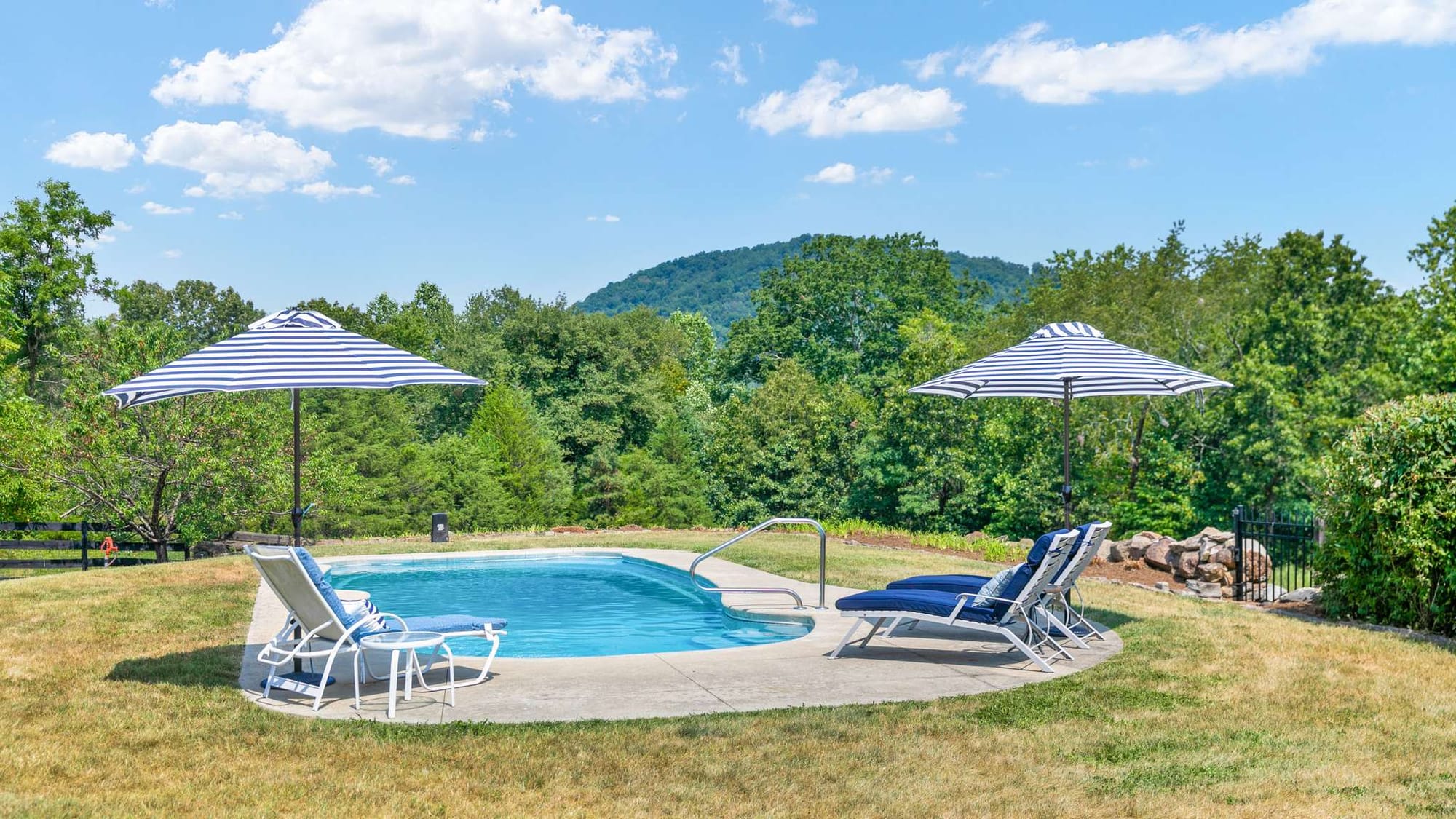 A kidney-shaped pool sits at the center of an open lawn at River Meadows Farm, framed by navy-striped umbrellas and lounge chairs with a forested hillside rising behind it. The mountain backdrop gives the setting a serene, secluded feel on a clear summer day.