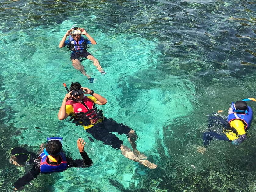 A group of snorkelers floats in crystal-clear water, wearing bright snorkel gear as they explore the shallow reef. This is one of Hawaii’s top underwater experiences for families and beginners.