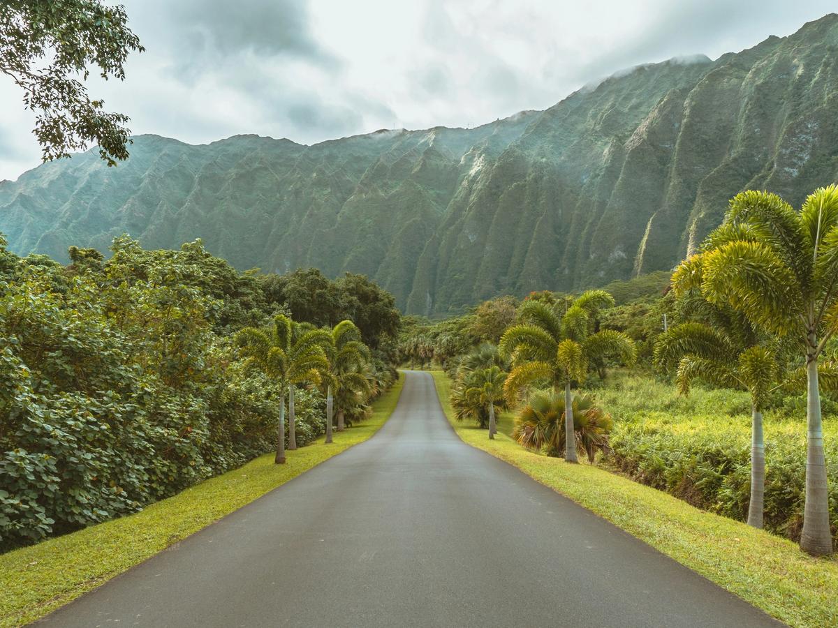 Paved road in between two sides of greenery and tropical plants in Oahu with mountain in the background
