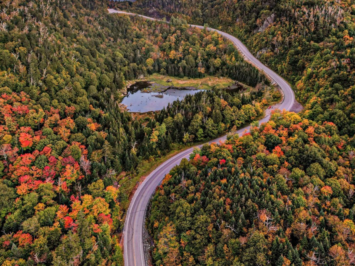 A winding road curves through a dense forest with vibrant fall foliage, surrounding a small reflective pond nestled in a valley.