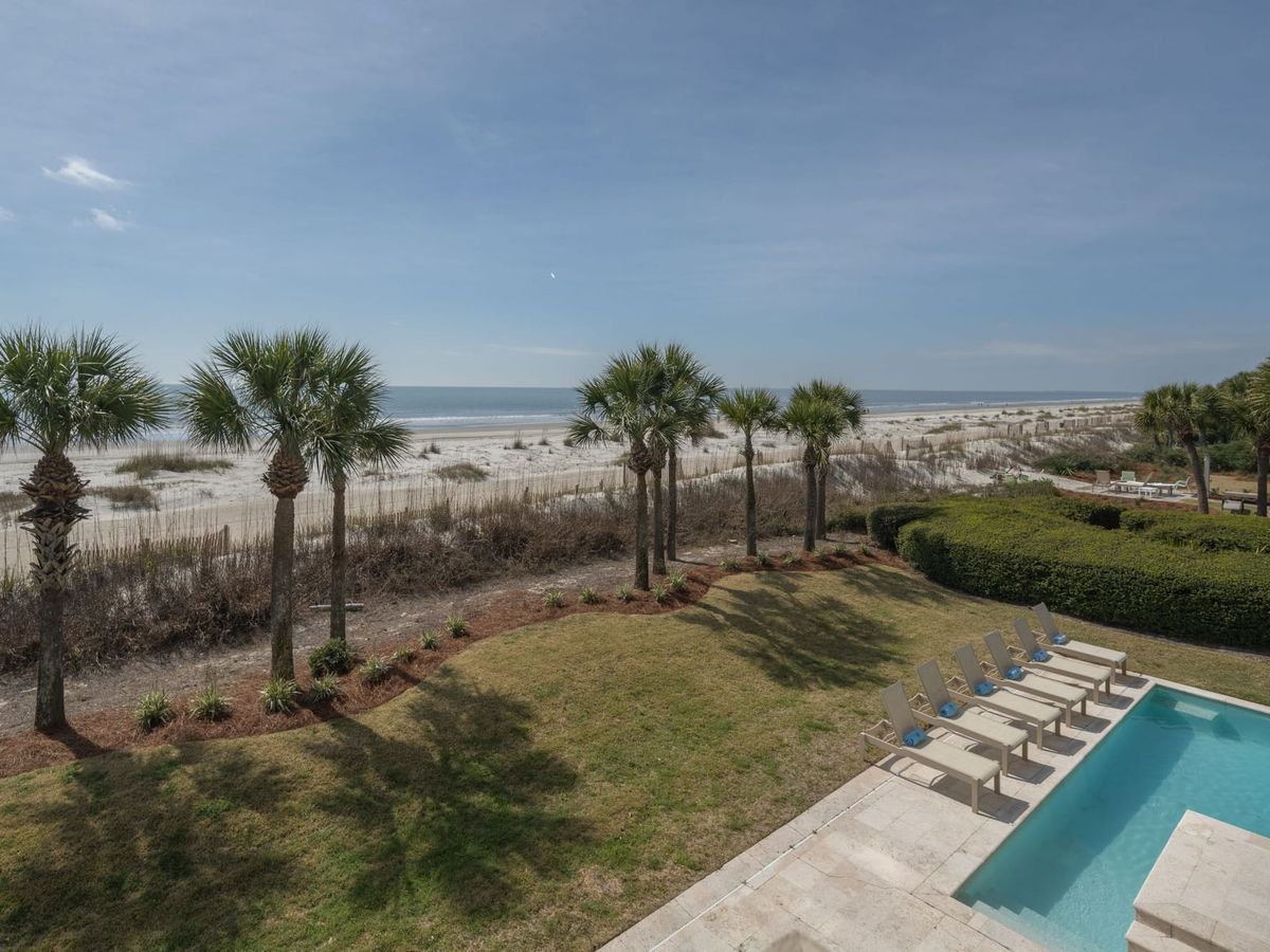Stunning beachfront view with a row of palm trees and clear skies, looking out toward the ocean—an ideal spot to start your weekend unwind. Poolside loungers invite you to soak in the sea breeze.