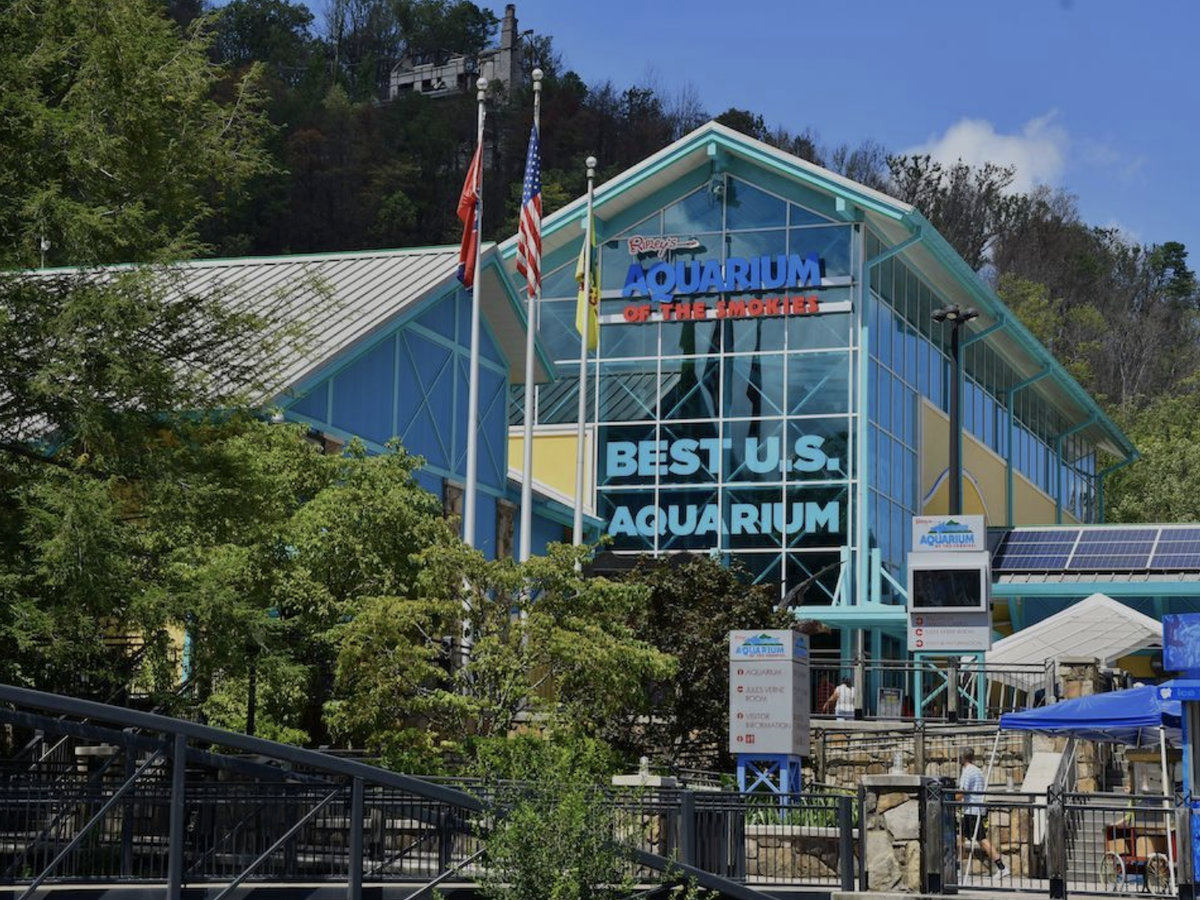 Exterior of Ripley’s Aquarium of the Smokies with a large glass-front entrance, colorful signage reading “Best U.S. Aquarium,” and flags flying above the building surrounded by greenery.