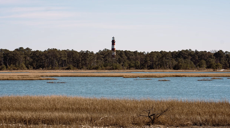 5 Top Rated Outdoor Activities in Chincoteague, VA