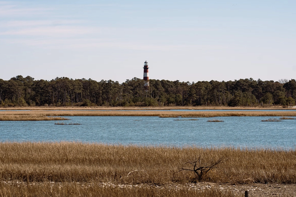 5 Top Rated Outdoor Activities in Chincoteague, VA
