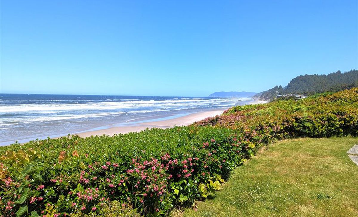 View of Flowers and Pacific Ocean in Arch Cape, OR