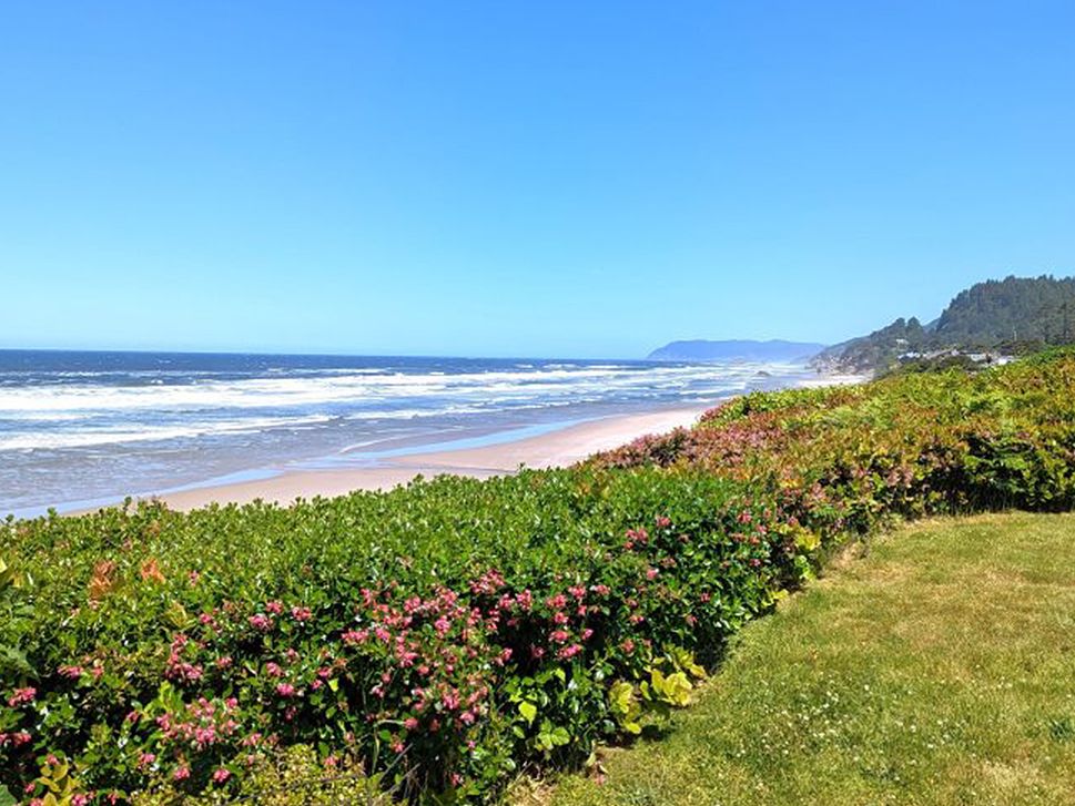 View of Flowers and Pacific Ocean in Arch Cape, OR