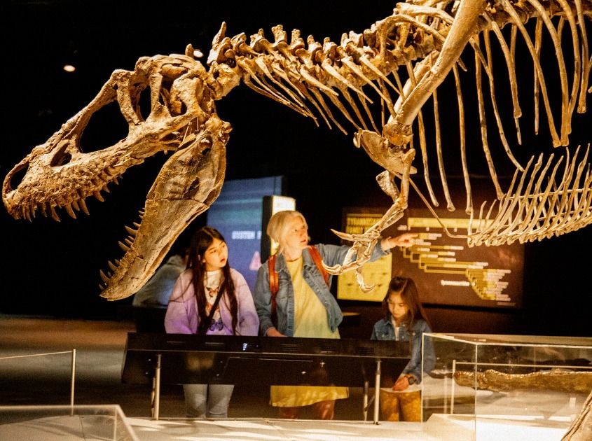 A family stands under a huge dinosaur skeleton at the Oregon Museum of Science and Industry, looking closely at its bones. The warm lighting and detailed display make the exhibit feel exciting and full of discovery. It’s a fun moment that shows how hands-on and engaging the museum is for all ages.