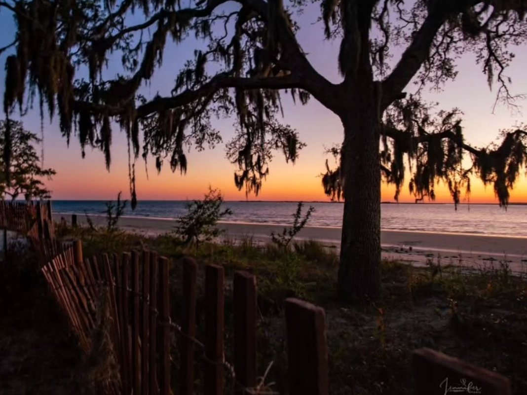 Sunset views with beautiful southern tree and broken fence at beach