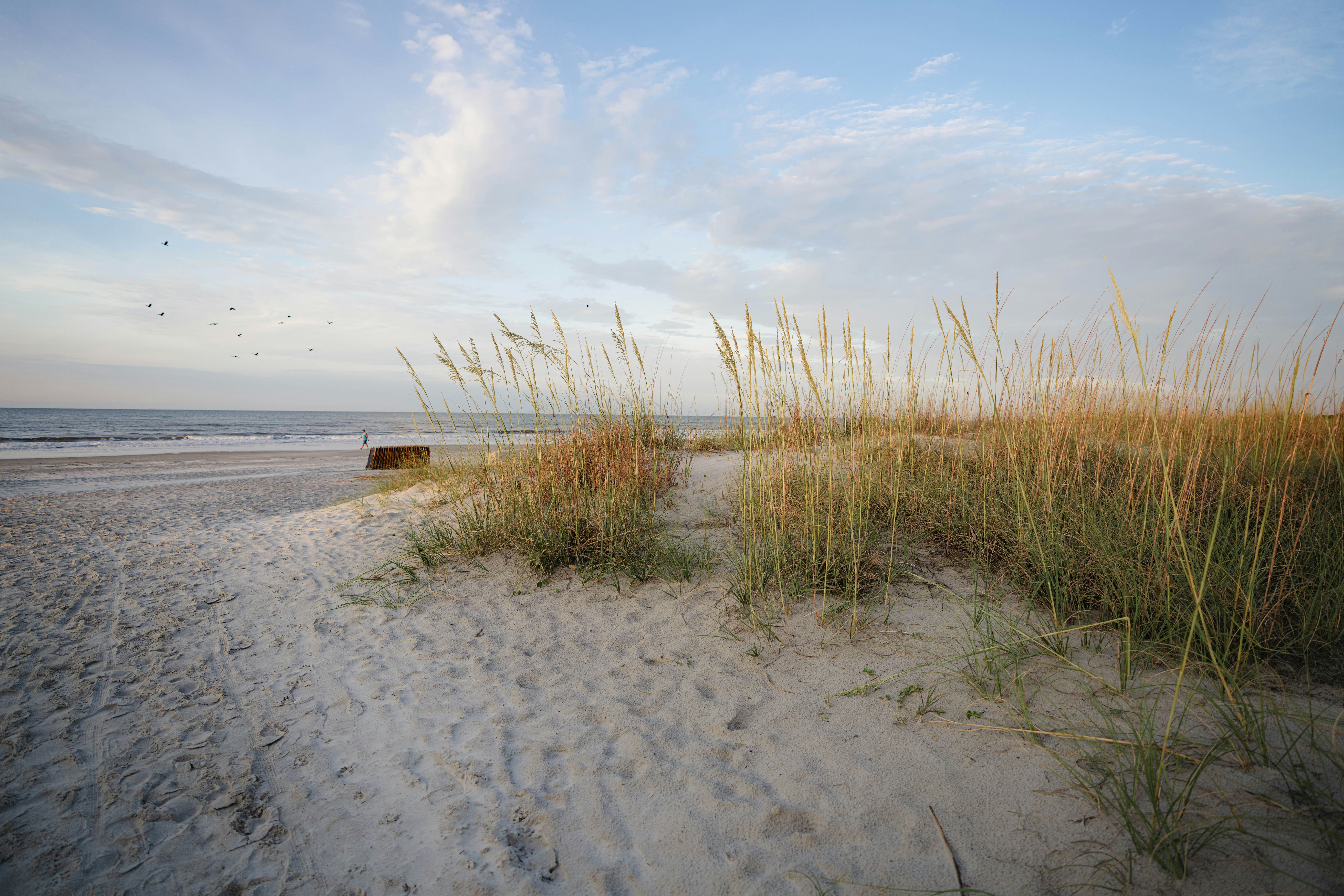 Sandy beach path lined with tall dune grass leading to the ocean under a soft blue sky with scattered clouds and distant seabirds.