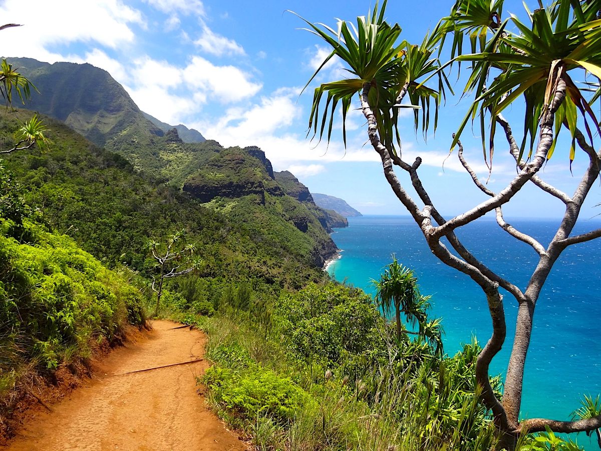 Kauai Hiking Trail with Surrounding Ocean views