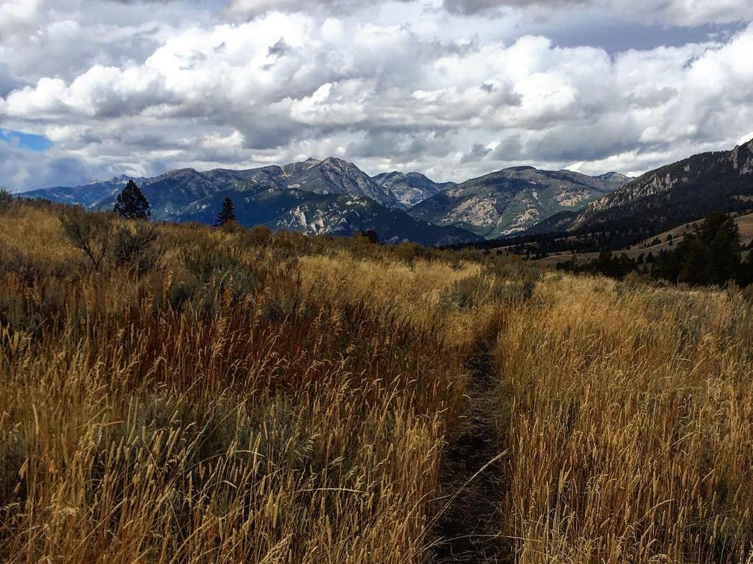 Porcupine Creek’s calm waters reflect granite rocks, alpine trees, and summer wildflowers. A hidden gem in Big Sky’s backcountry, perfect for peaceful hikes.