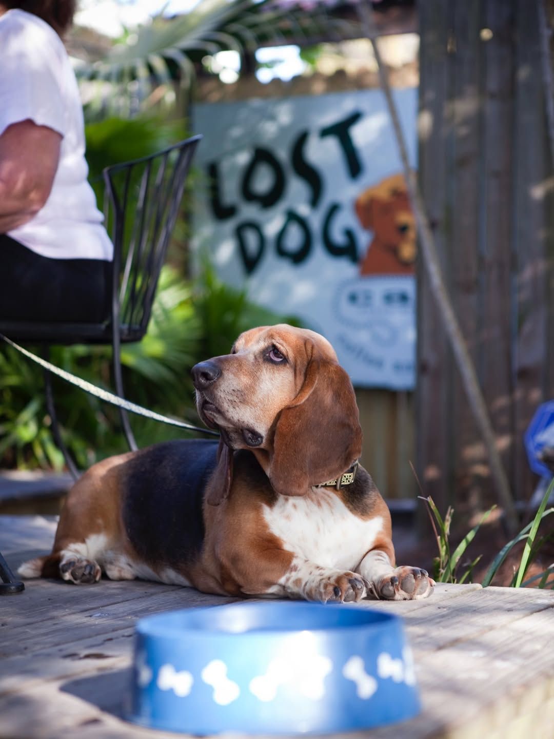 The Lost Dog Café in Folly Beach features a charming porch with dog bone railings and patriotic touches, making it a cozy and pet-friendly breakfast spot loved by locals and visitors.